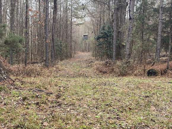 40 Acres of Recreational Land for Sale in Summerfield, Louisiana