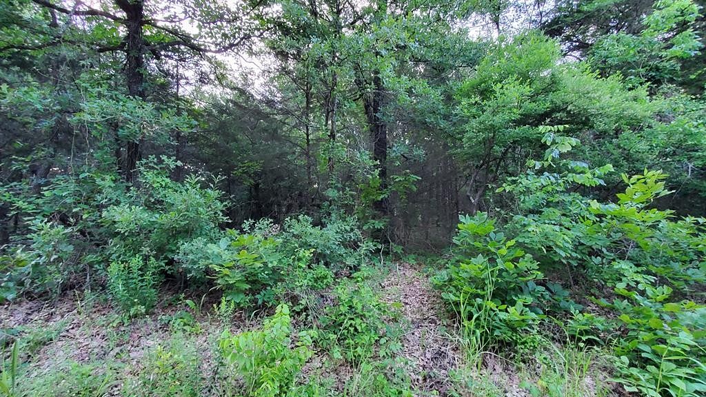 0.034 Acres of Residential Land for Sale in Seven Points, Texas