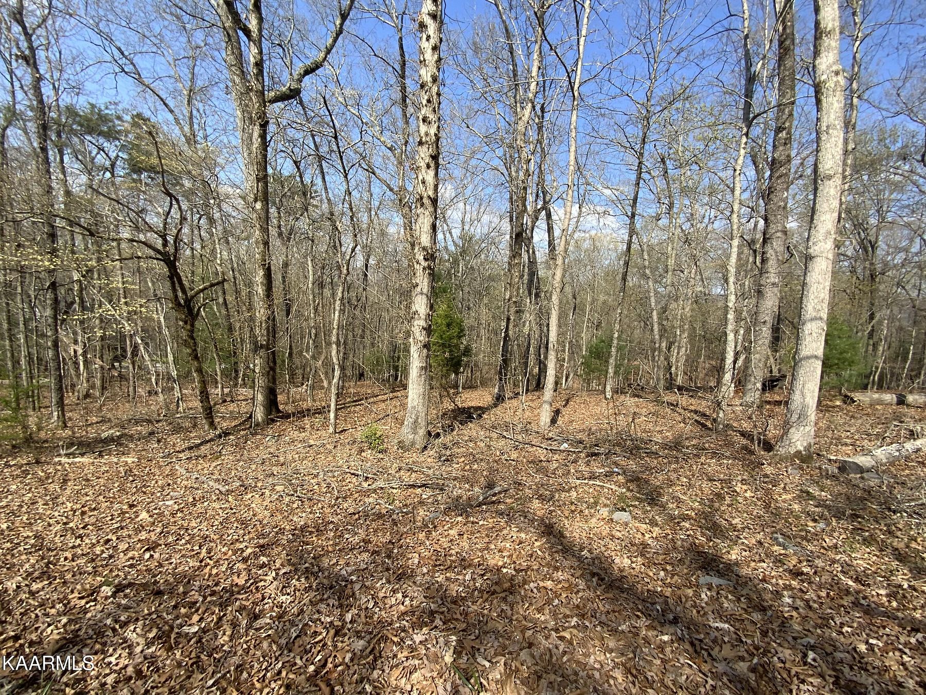 0.58 Acres of Residential Land for Sale in Rockwood, Tennessee