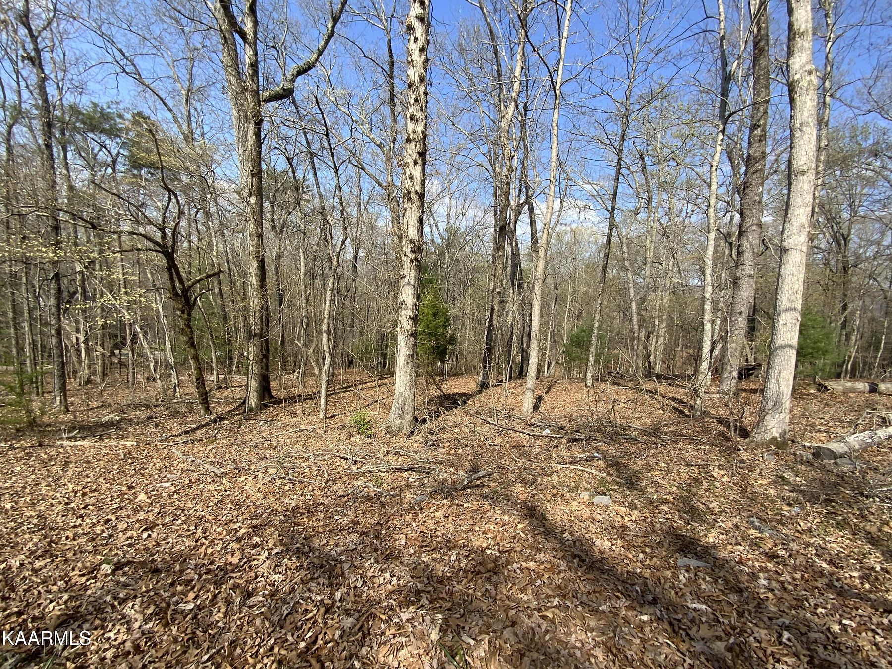 0.59 Acres of Residential Land for Sale in Rockwood, Tennessee