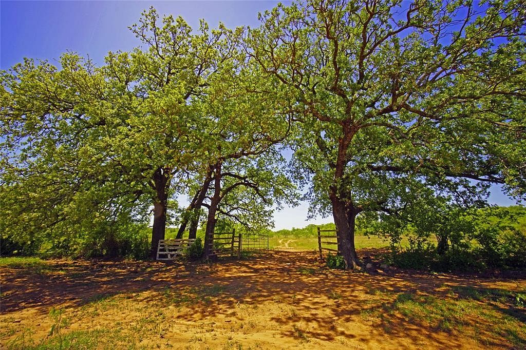 145 Acres of Land for Sale in Bowie, Texas