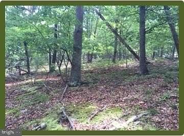 15 Acres of Land for Sale in Keyser, West Virginia