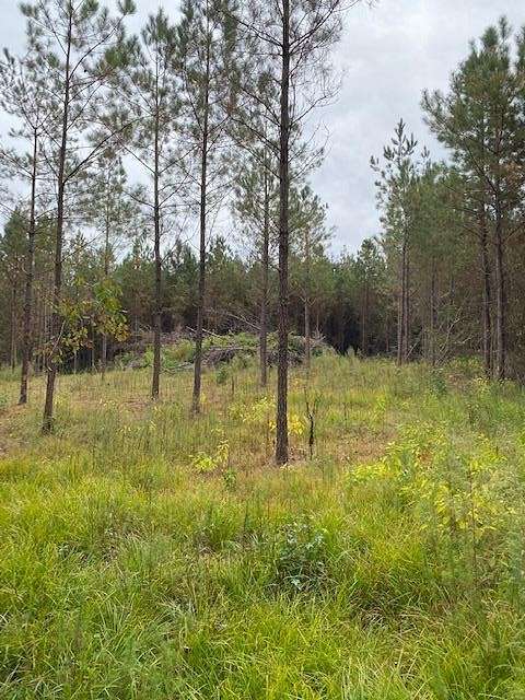 12.5 Acres of Land for Sale in Smithdale, Mississippi