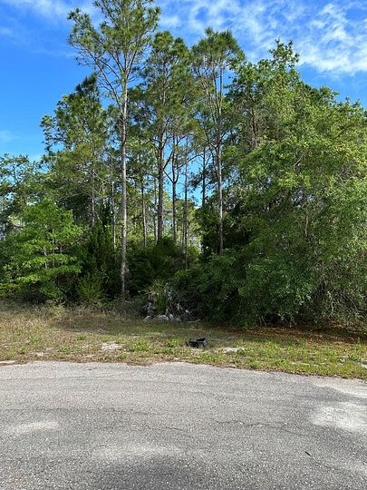 1 Acre of Residential Land for Sale in Lanark Village, Florida