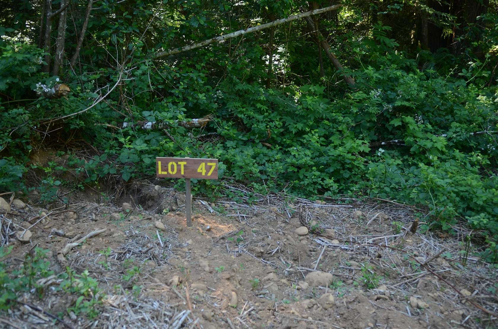 1 Acre of Residential Land for Sale in Crescent City, California