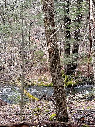 16.1 Acres of Land for Sale in Hunter, New York