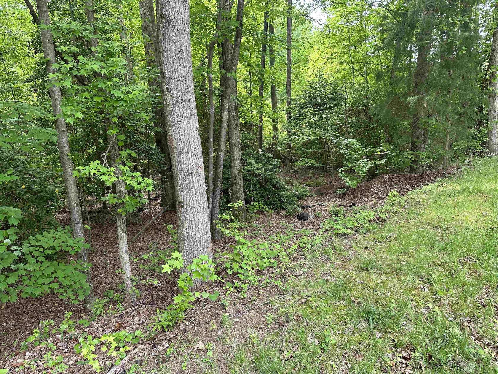 0.13 Acres of Land for Sale in Louisburg, North Carolina