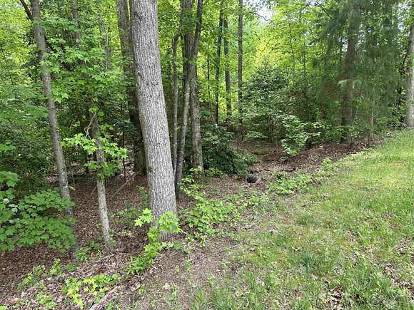 0.13 Acres of Land for Sale in Louisburg, North Carolina