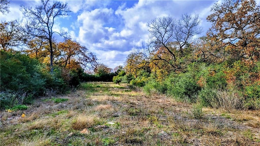 3.7 Acres of Residential Land for Sale in Franklin, Texas