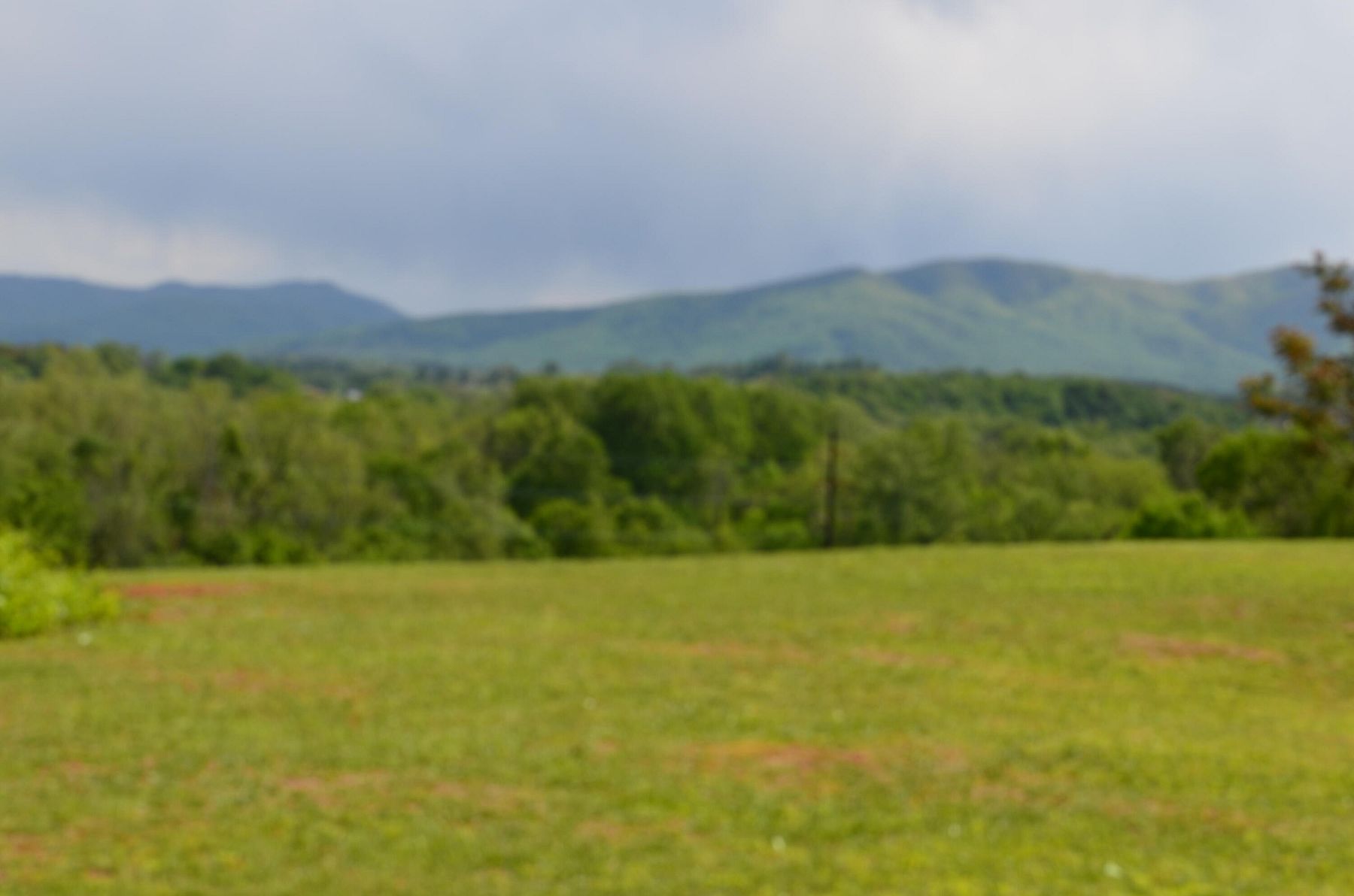 Residential Land for Sale in Greeneville, Tennessee