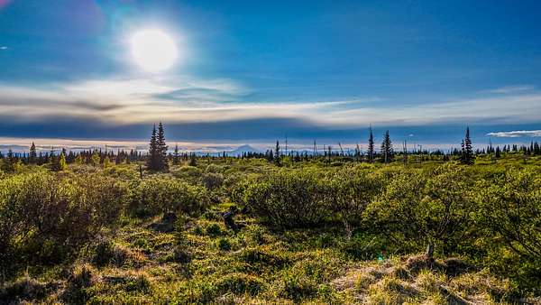 0.7 Acres of Land for Sale in Ninilchik, Alaska