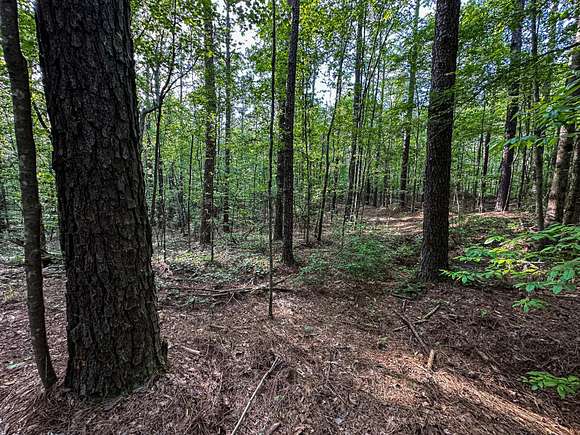 27.5 Acres of Recreational Land for Sale in Union, Mississippi