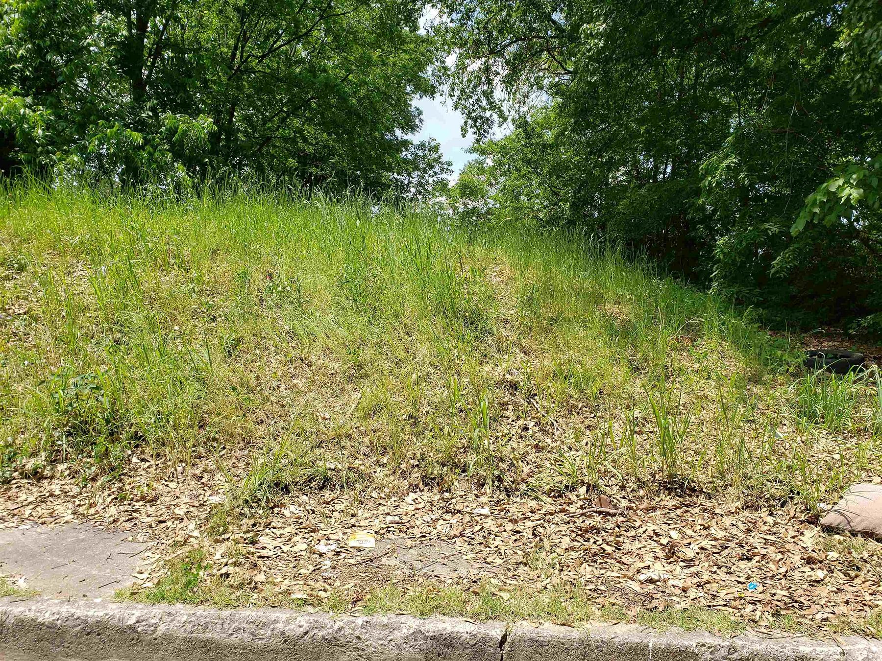 0.24 Acres of Residential Land for Sale in Memphis, Tennessee