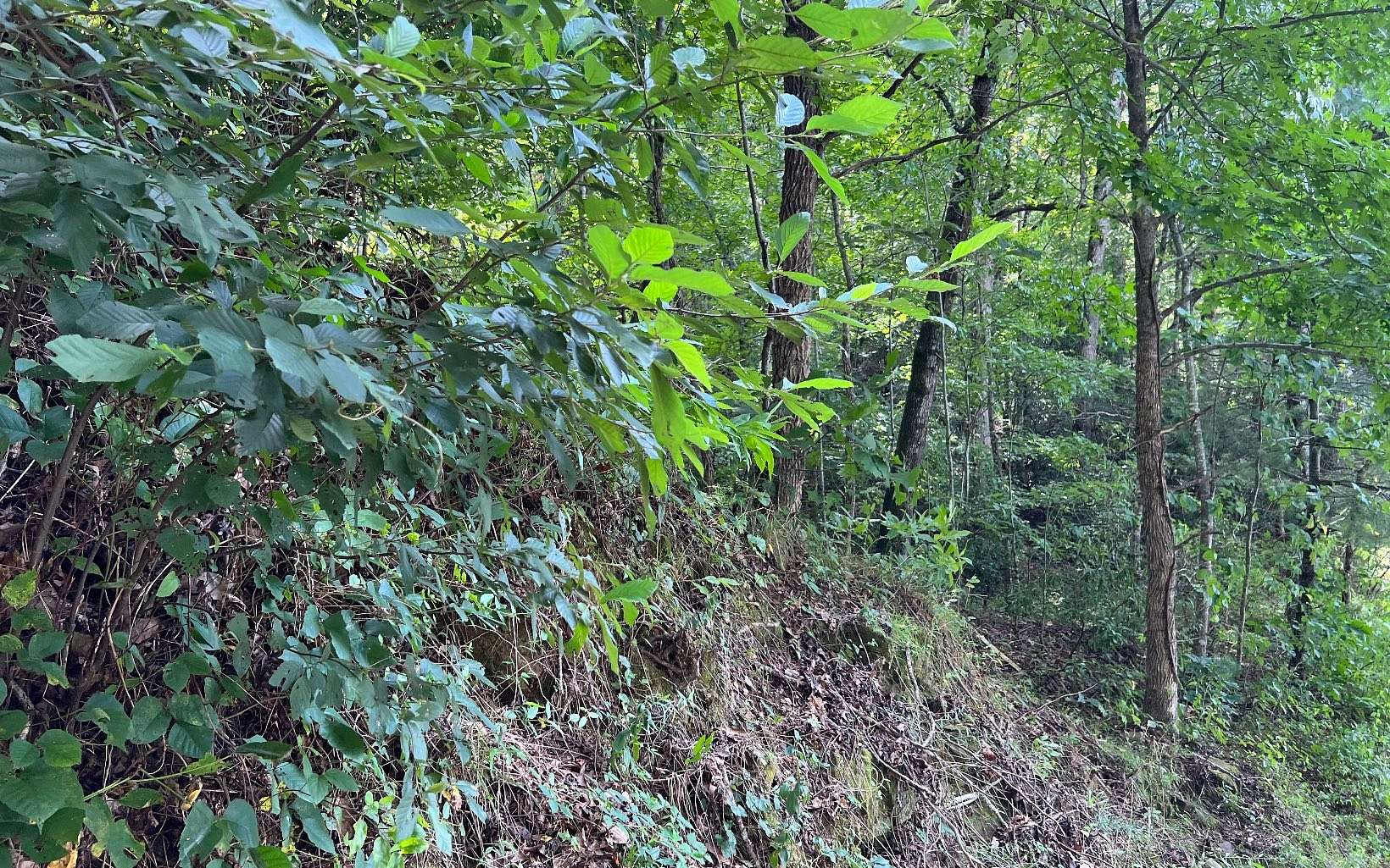4.2 Acres of Land for Sale in Hayesville, North Carolina