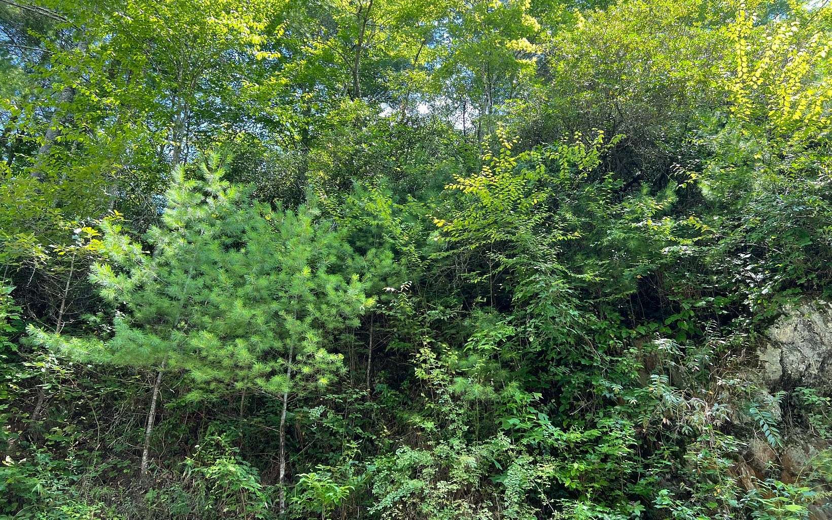 4.6 Acres of Land for Sale in Hayesville, North Carolina
