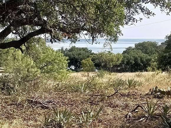 0.33 Acres of Residential Land for Sale in Brownwood, Texas