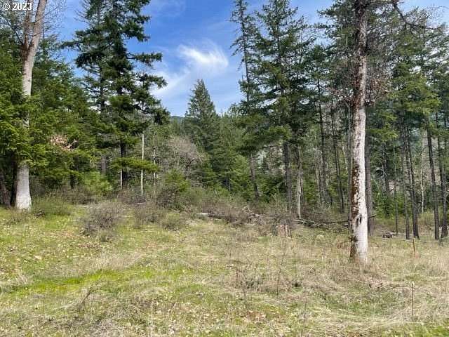 2.33 Acres of Residential Land for Sale in White Salmon, Washington