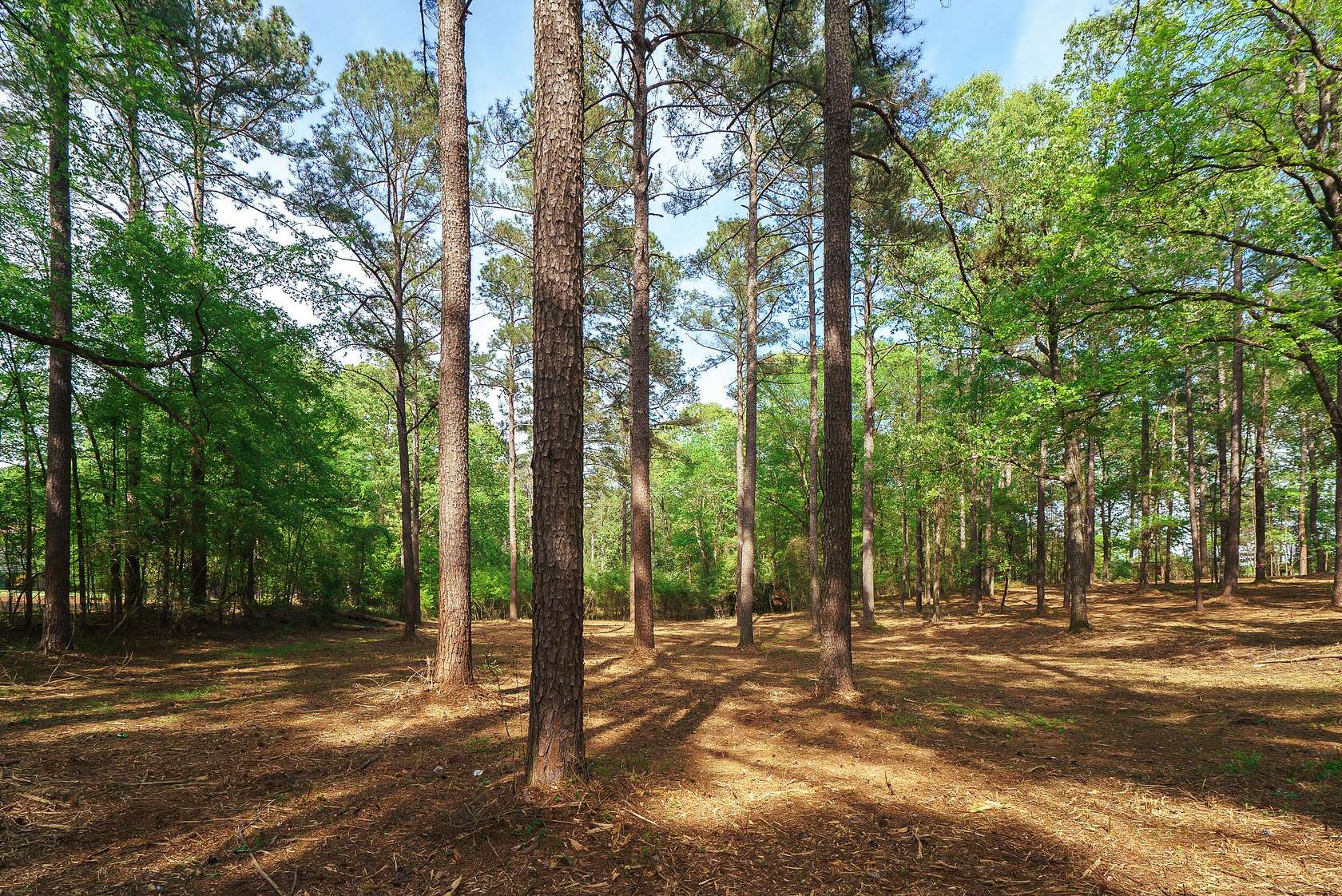 1 Acre of Residential Land for Sale in Aiken, South Carolina