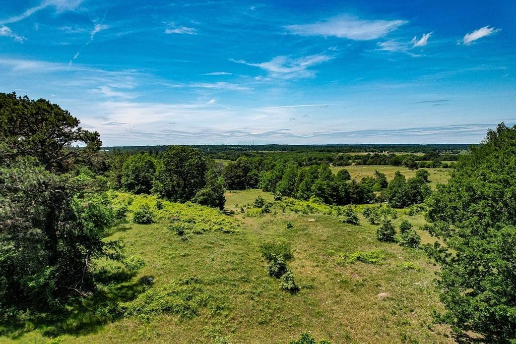 246 Acres of Agricultural Land for Sale in Winnsboro, Texas
