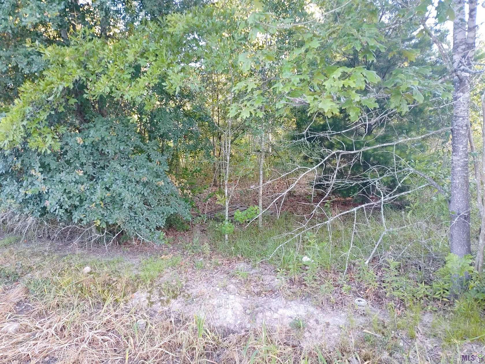 1.36 Acres of Land for Sale in Livingston, Louisiana