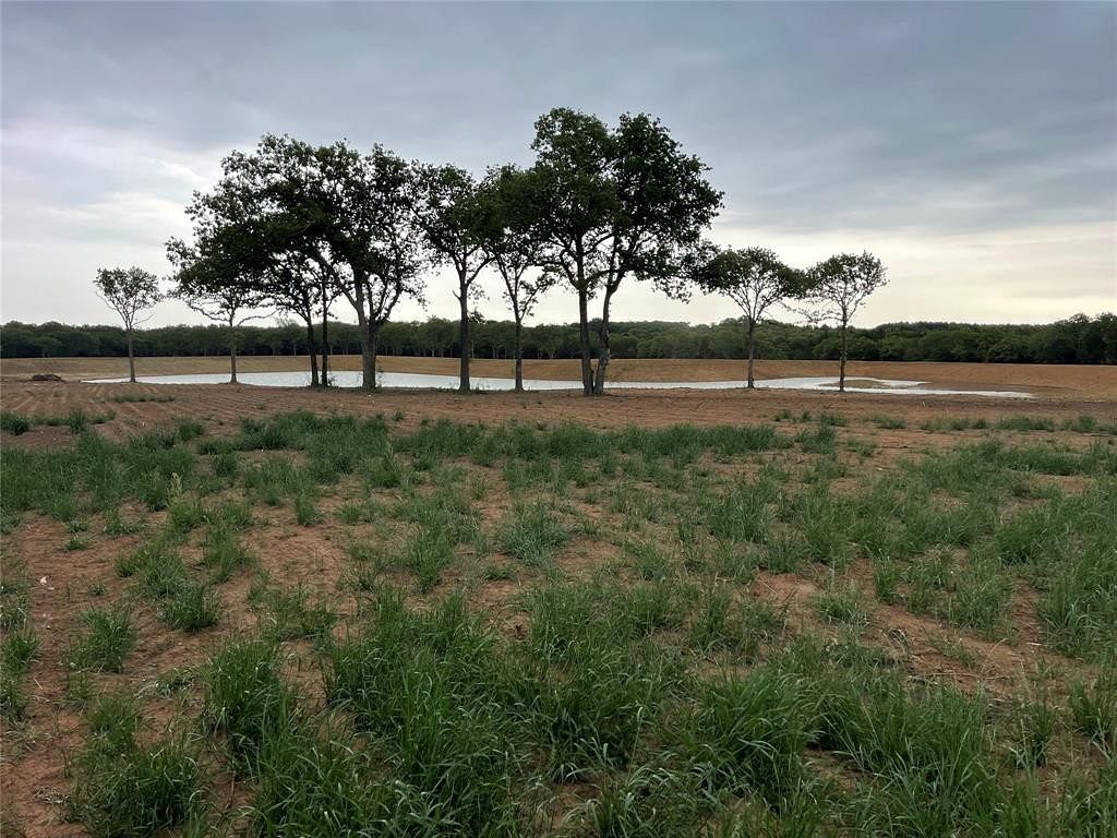 60.2 Acres of Agricultural Land for Sale in Whitesboro, Texas