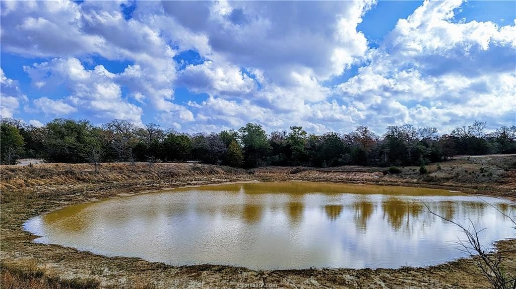 19.3 Acres of Land for Sale in Franklin, Texas