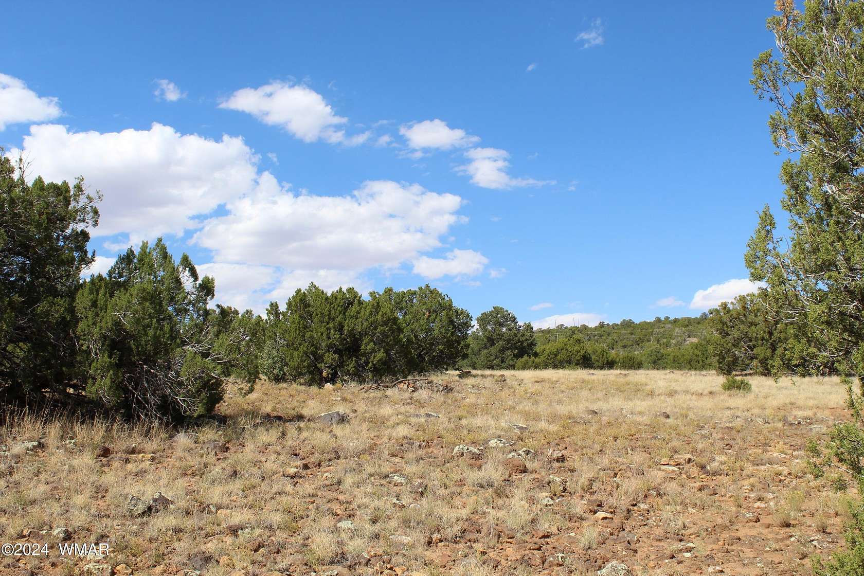 1.04 Acres of Residential Land for Sale in Concho, Arizona