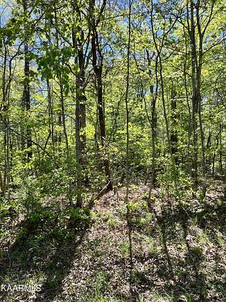 0.2 Acres of Land for Sale in Crossville, Tennessee