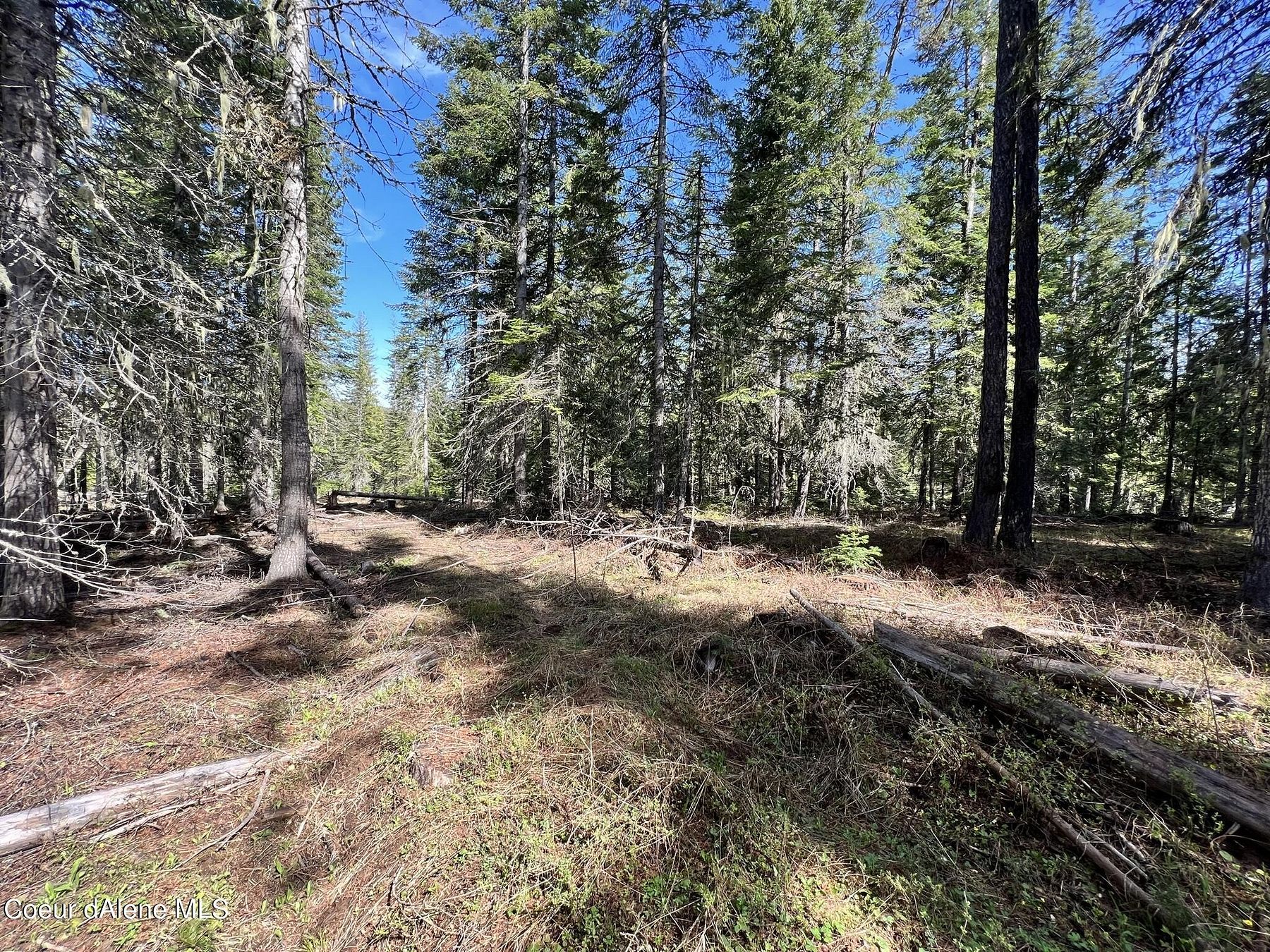 10.6 Acres of Recreational Land for Sale in St. Maries, Idaho