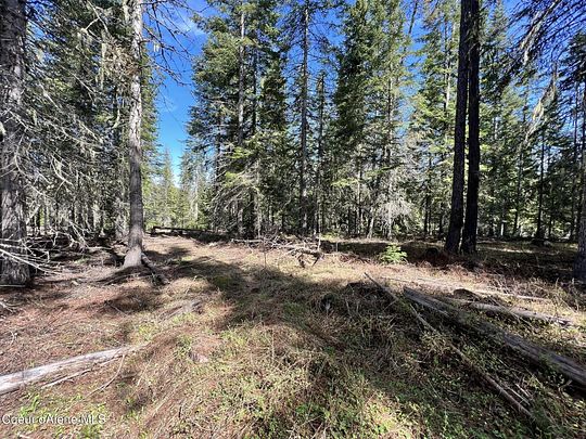 10.6 Acres of Recreational Land for Sale in St. Maries, Idaho