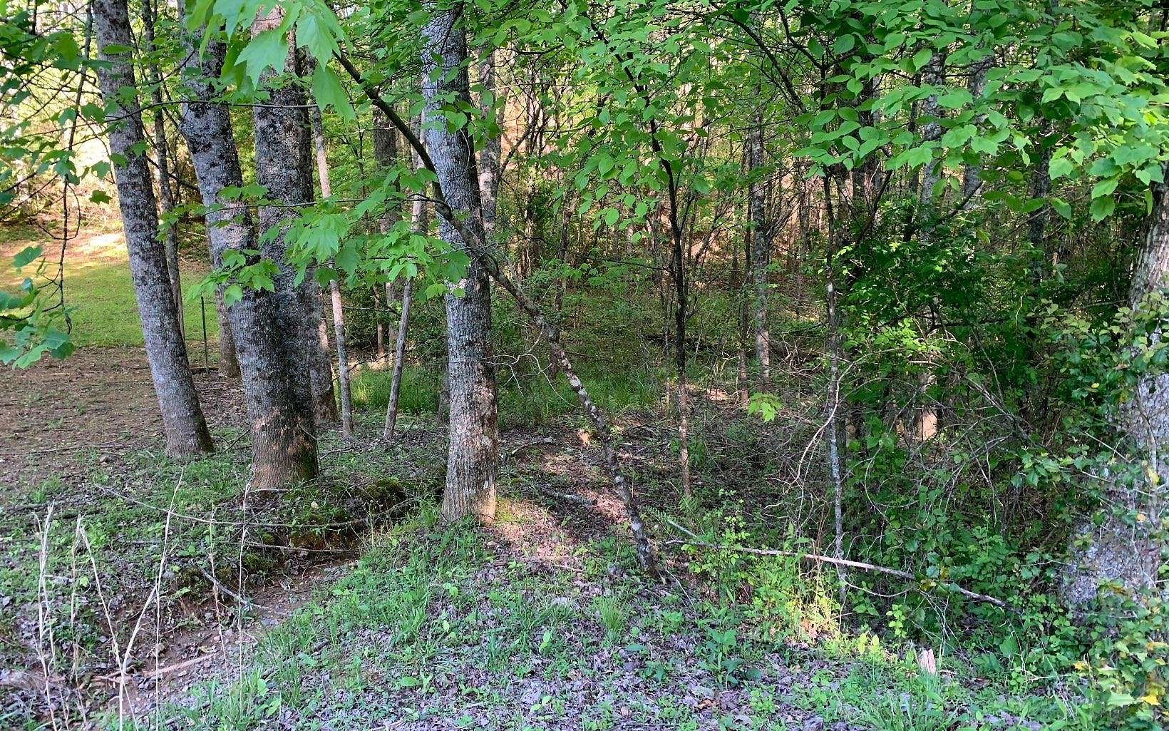 0.92 Acres of Land for Sale in Murphy, North Carolina