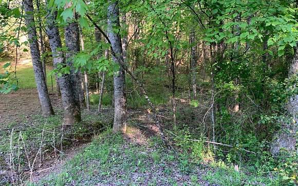 0.92 Acres of Land for Sale in Murphy, North Carolina