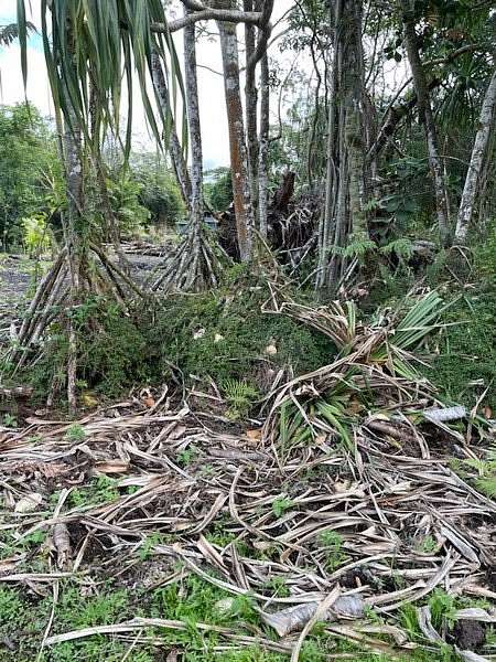 0.28 Acres of Residential Land for Sale in Pahoa, Hawaii