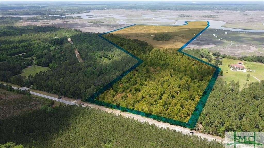 115 Acres of Land for Sale in Townsend, Georgia
