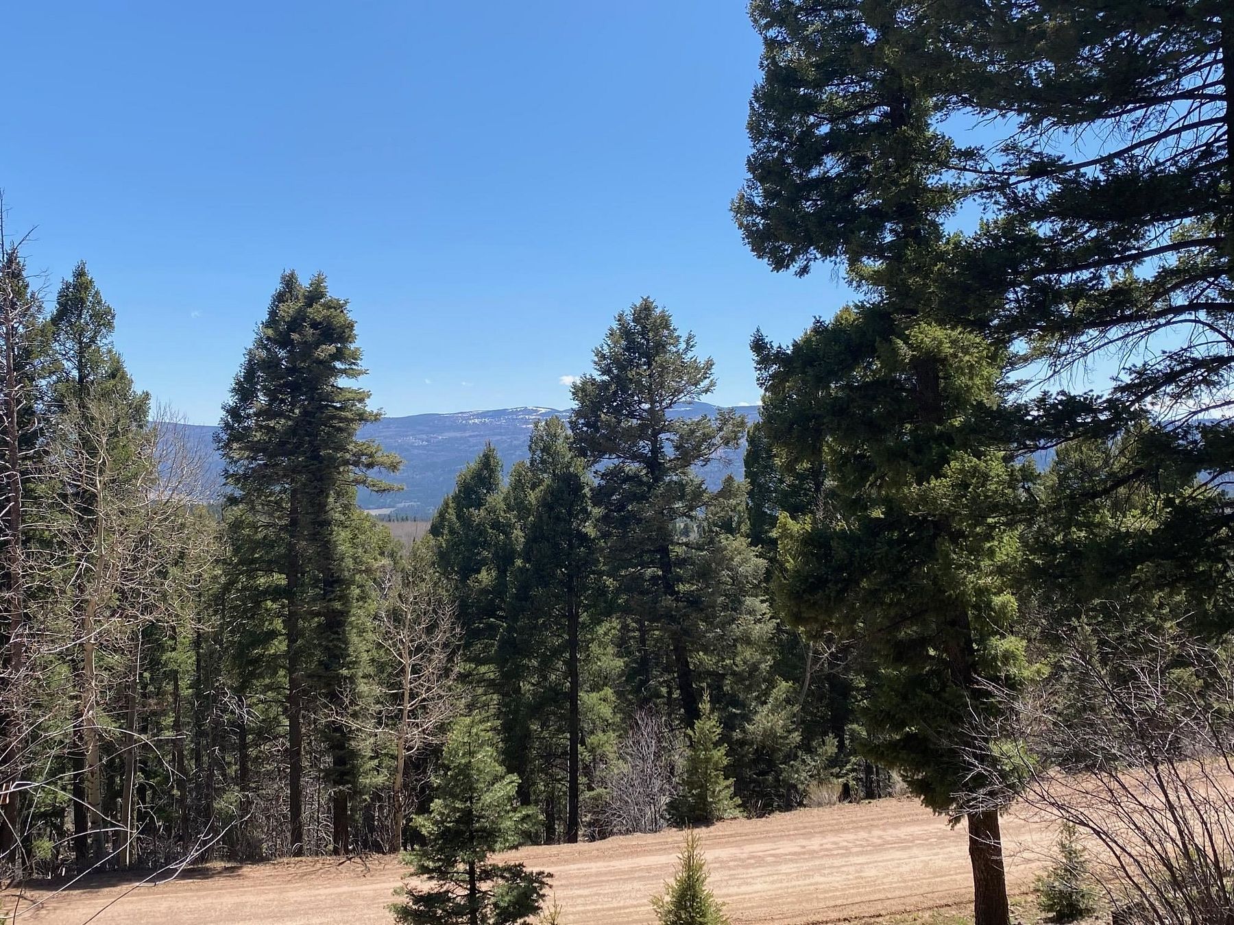 0.75 Acres of Residential Land for Sale in Angel Fire, New Mexico