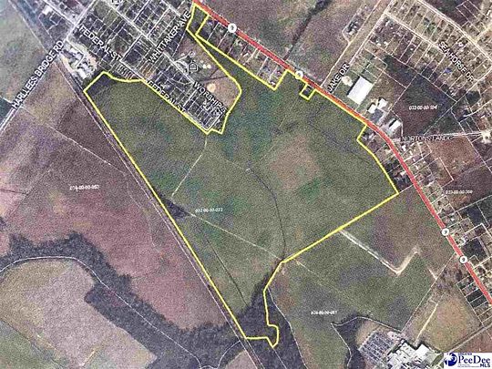 180 Acres of Land for Sale in Dillon, South Carolina