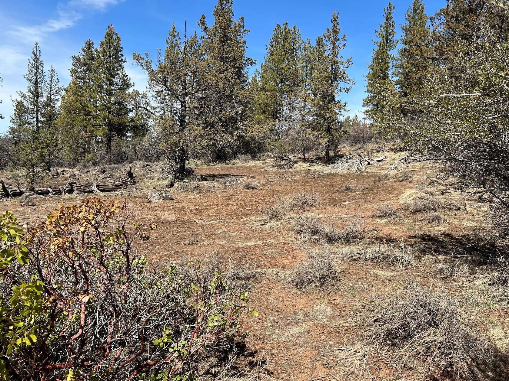 2.26 Acres of Land for Sale in Bonanza, Oregon