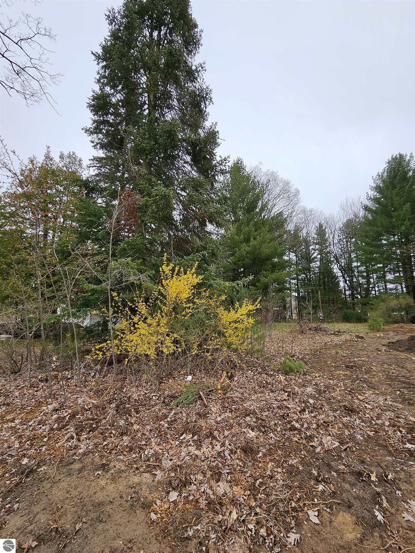 0.2 Acres of Land for Sale in Lake City, Michigan