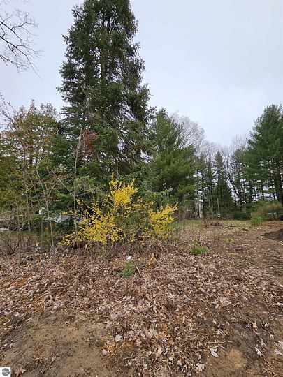 0.2 Acres of Land for Sale in Lake City, Michigan