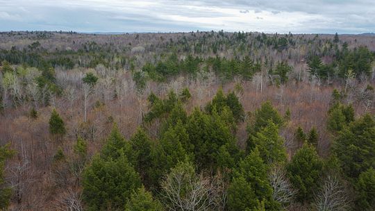 13.1 Acres of Land for Sale in Lee, Maine