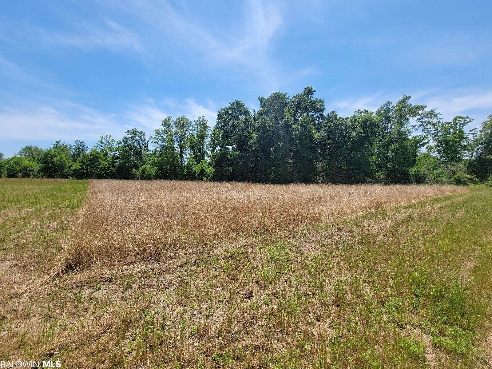9.58 Acres of Residential Land for Sale in Foley, Alabama