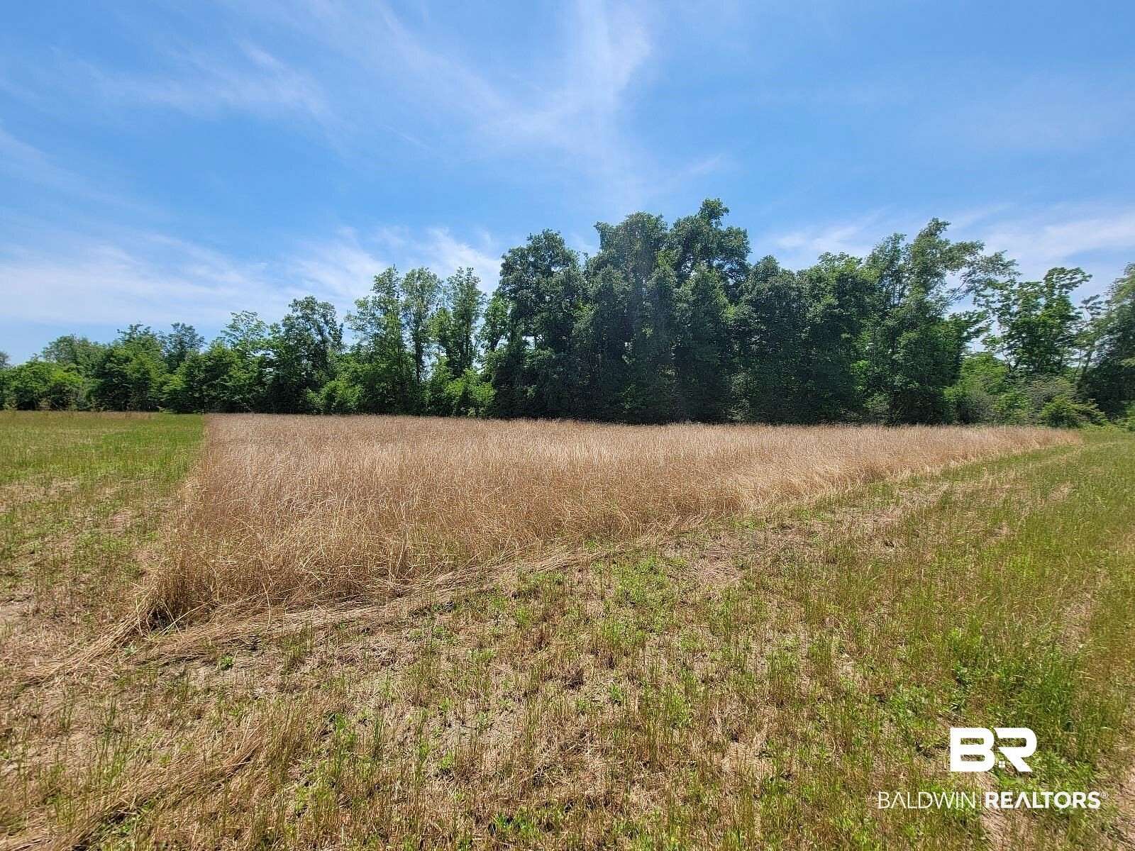 9.58 Acres of Residential Land for Sale in Foley, Alabama