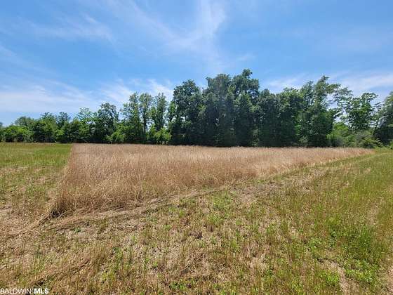 9.6 Acres of Residential Land for Sale in Foley, Alabama
