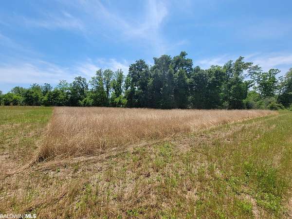 9.58 Acres of Residential Land for Sale in Foley, Alabama