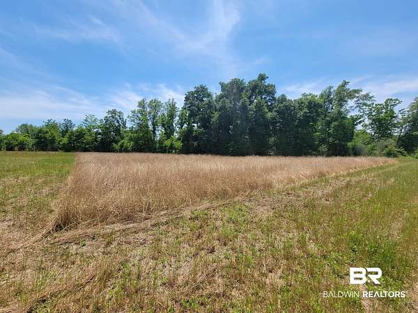 9.58 Acres of Residential Land for Sale in Foley, Alabama