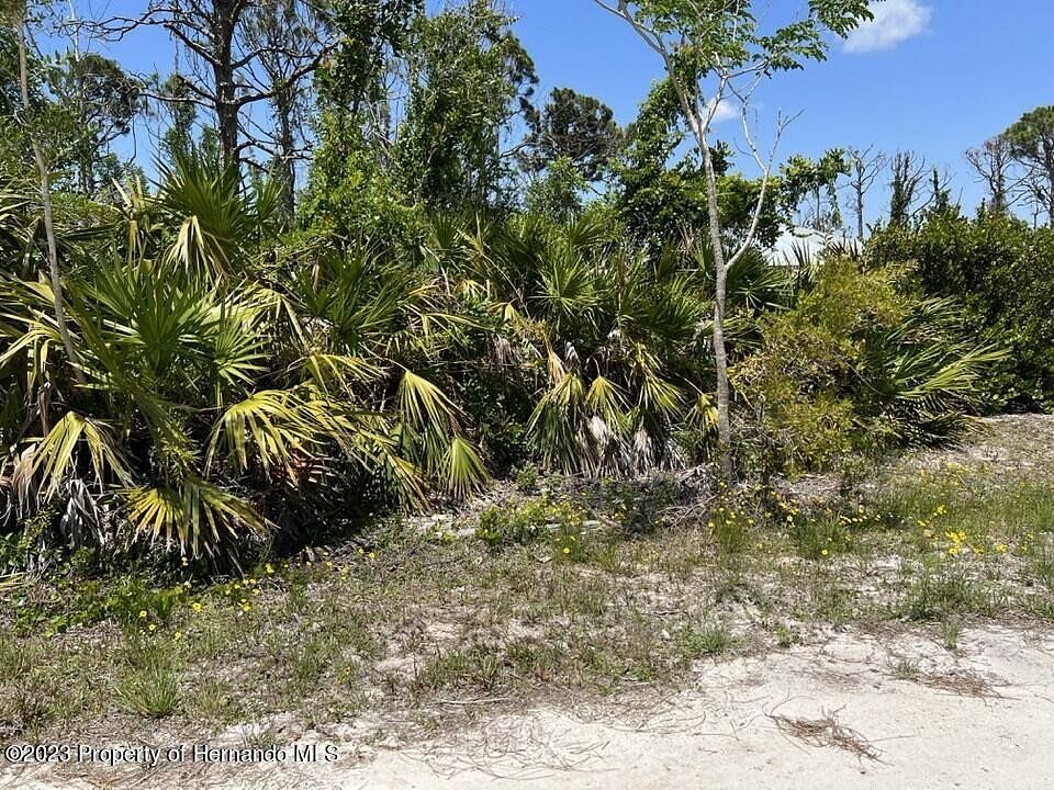 Residential Land for Sale in St. James City, Florida