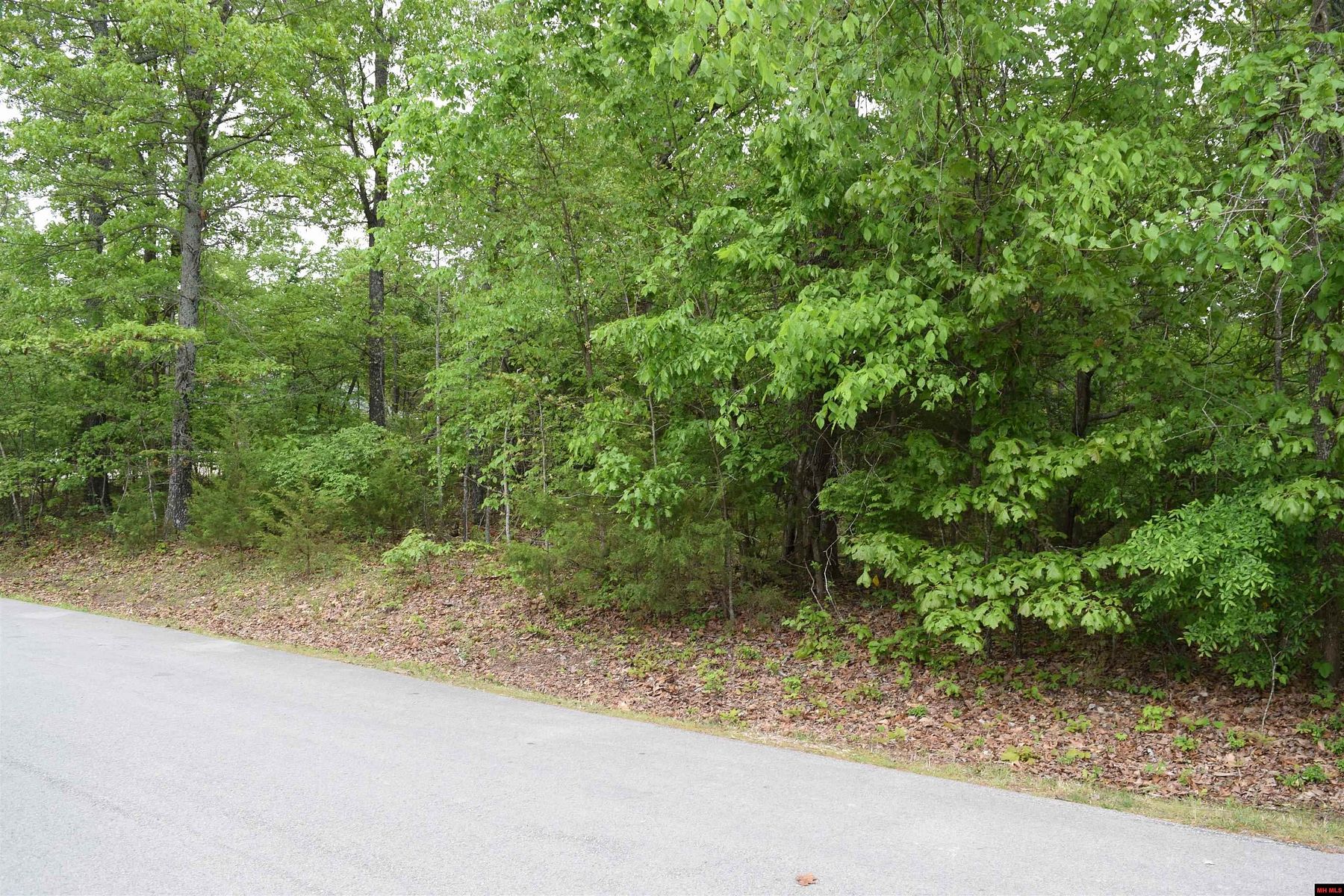 0.58 Acres of Residential Land for Sale in Mountain Home, Arkansas