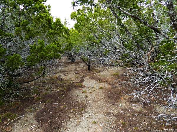 0.56 Acres of Residential Land for Sale in Lakehills, Texas