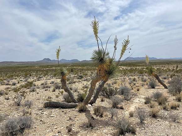 5 Acres of Residential Land for Sale in Terlingua, Texas