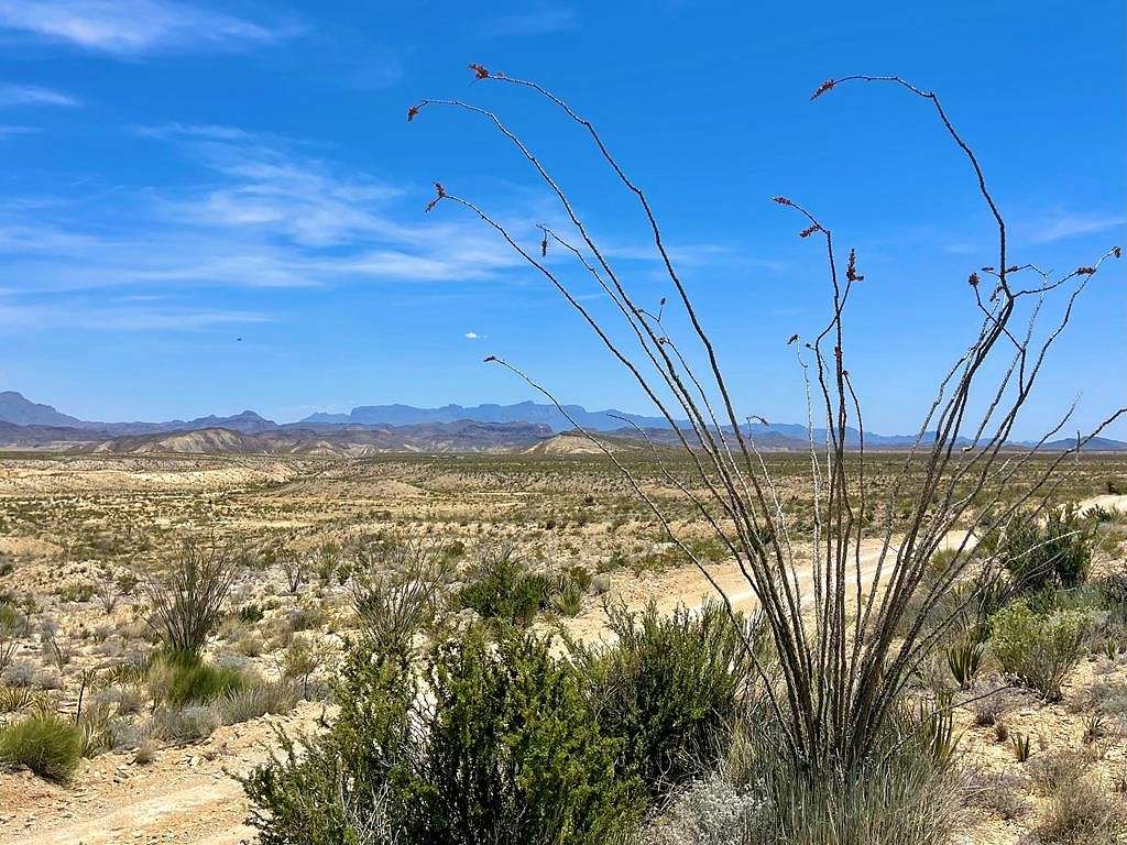 20 Acres of Recreational Land for Sale in Terlingua, Texas